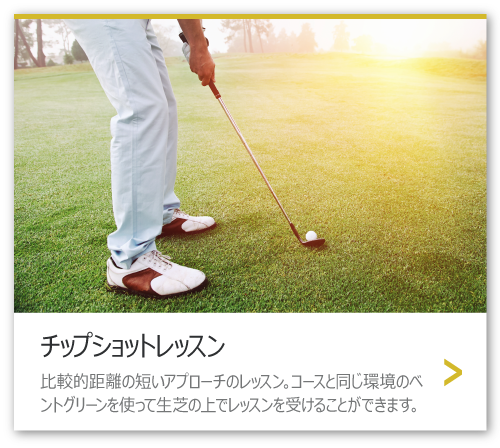 チップショットレッスン